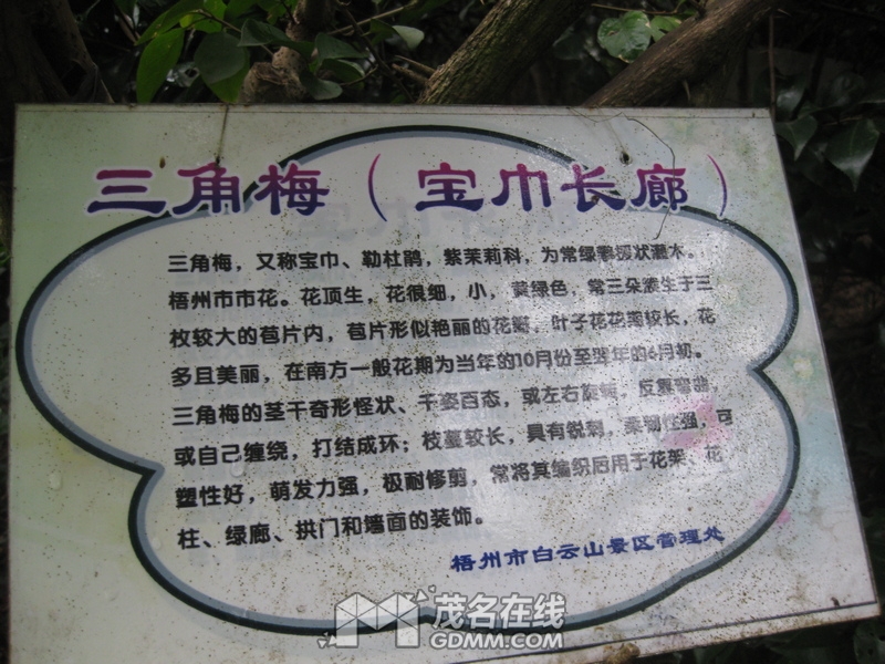 IMG_1185.JPG