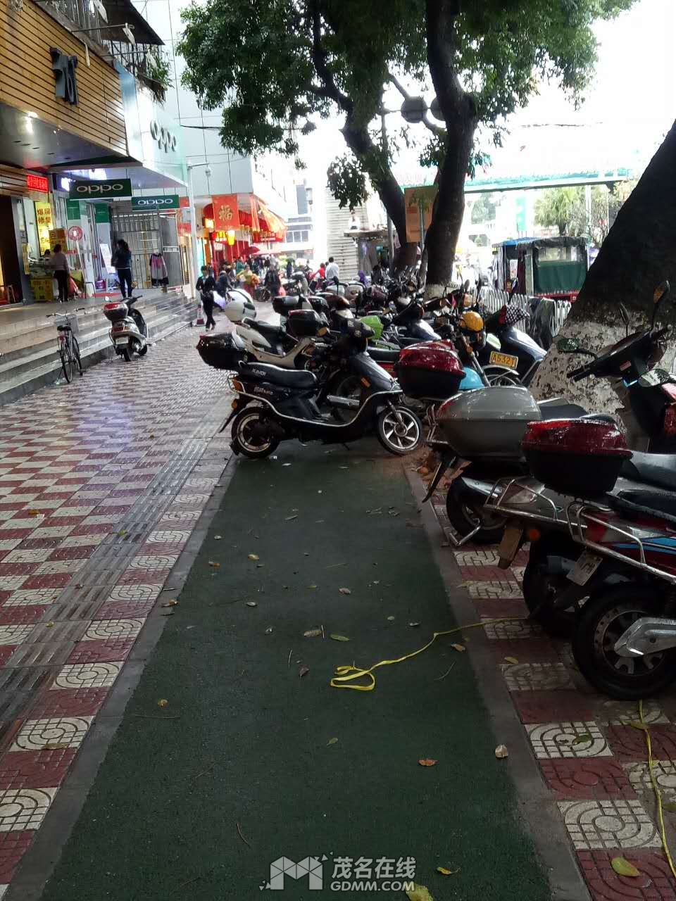 lvdao-01.jpg