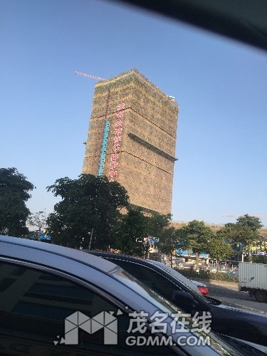 image.jpeg