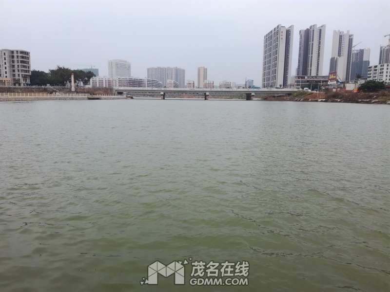 IMG_20170207_104204.jpg
