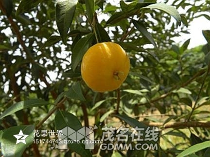 psb31RK1HVE.jpg