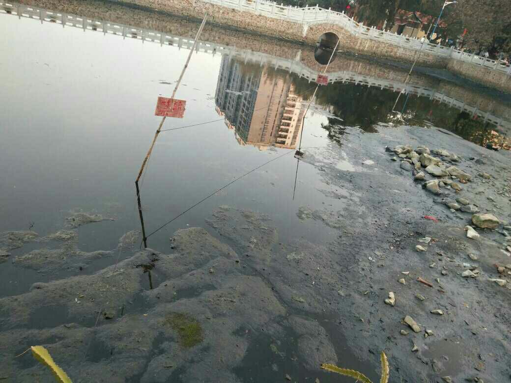 1486892827309_.jpg