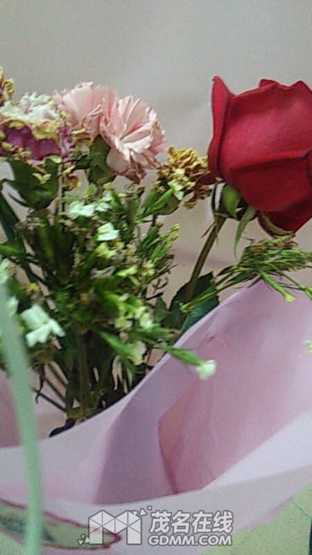 wx_camera_1486987951501.jpg