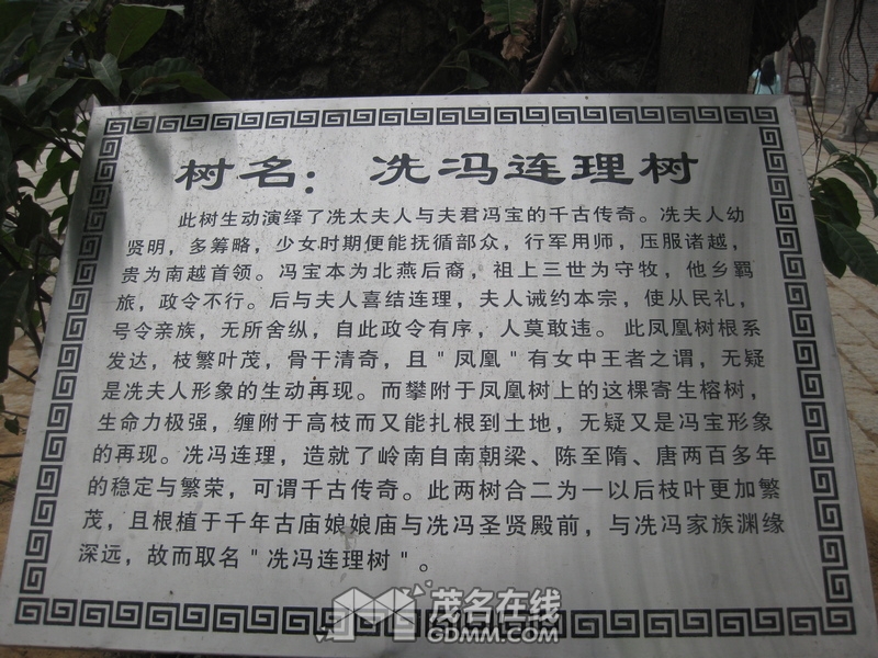 IMG_1540.JPG