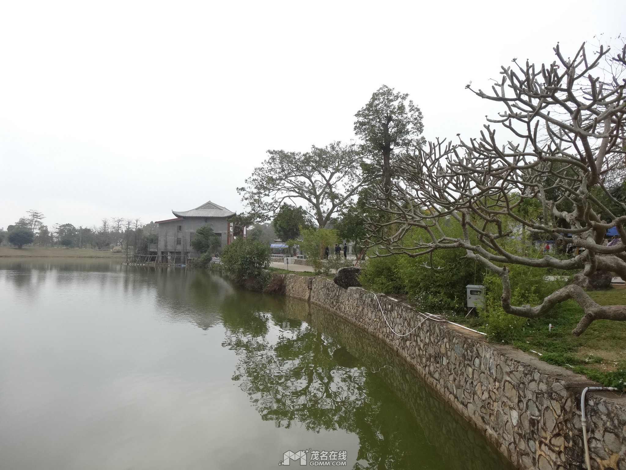 DSC01458.JPG