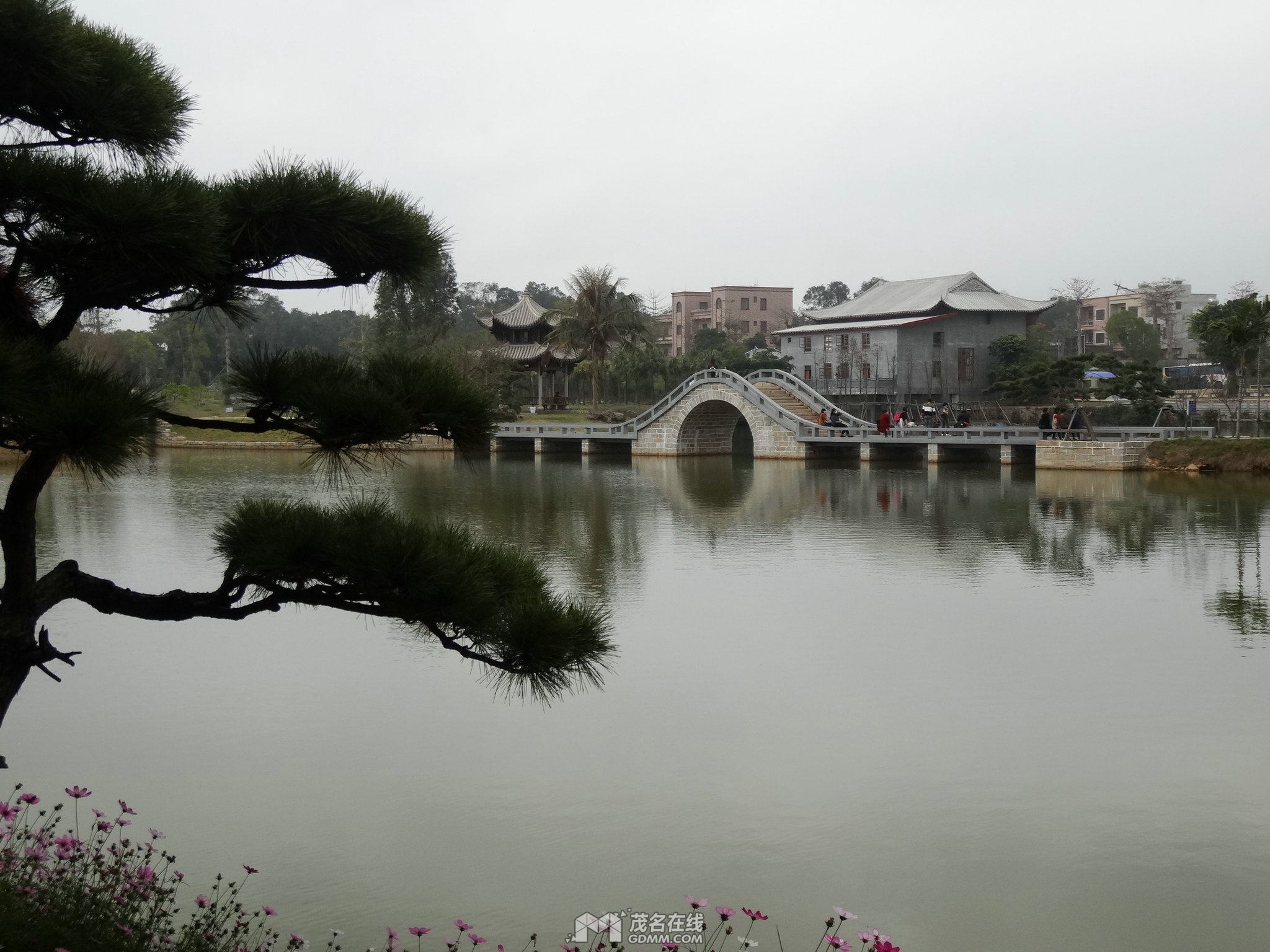 DSC01484.JPG