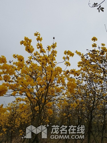 20170222_114543.jpg
