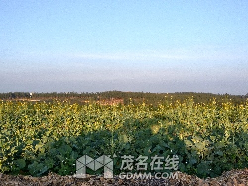 IMG_20170129_175127_HDR.jpg