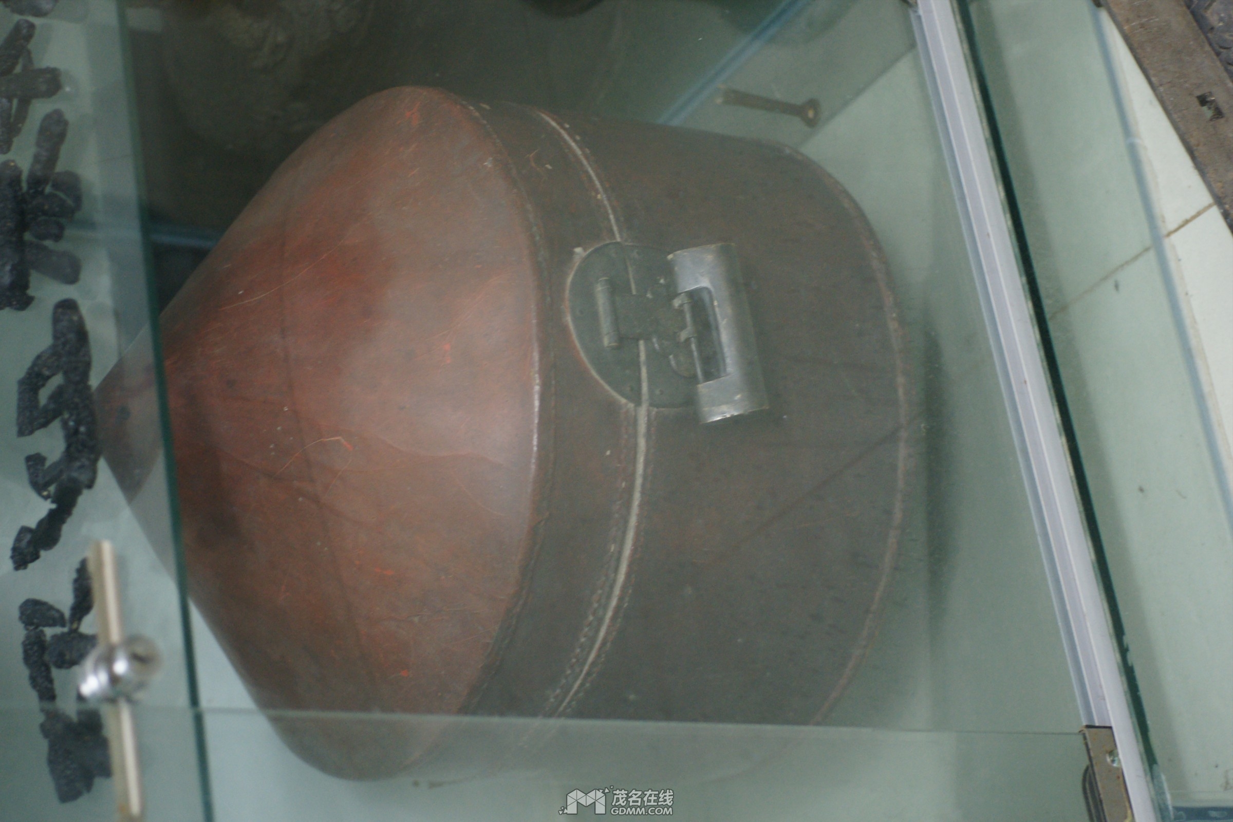 DSC02124.jpg