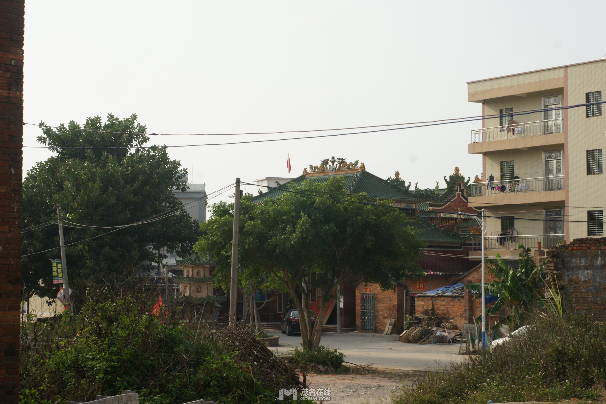 DSC02202.jpg