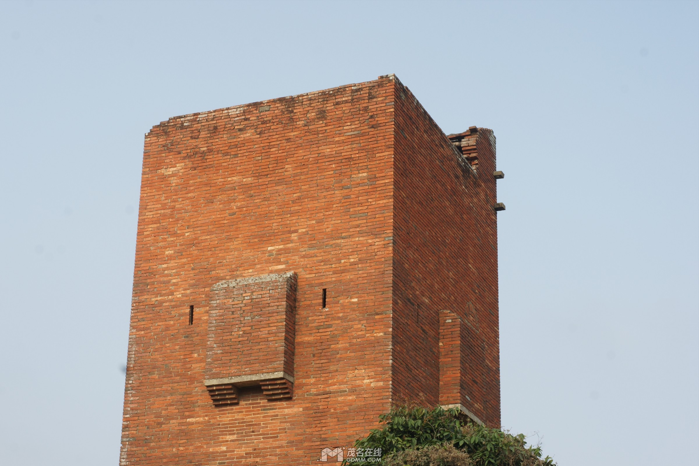 DSC02210.jpg