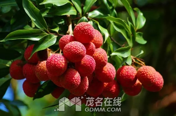 640.webp (26).jpg
