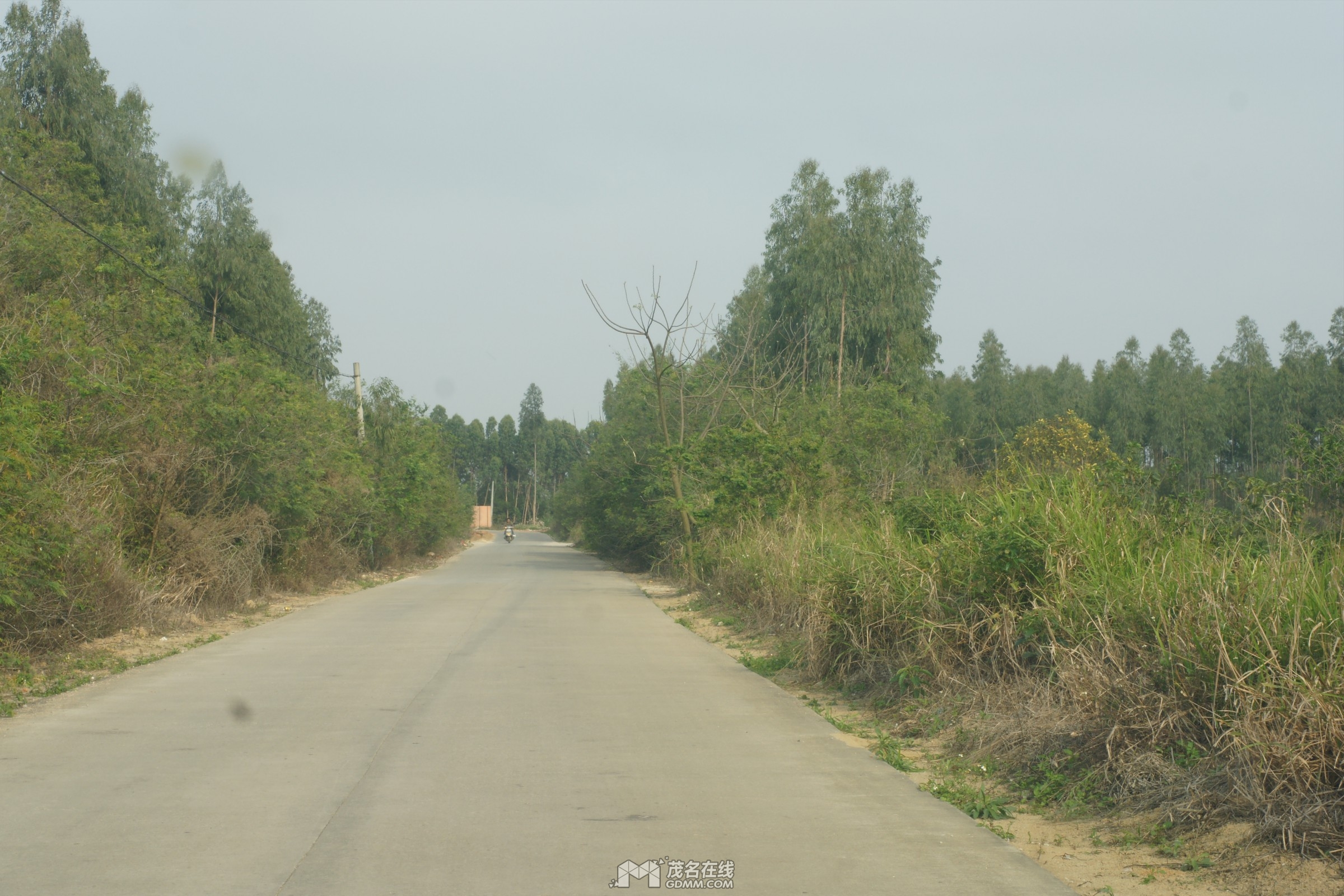 DSC02213.jpg