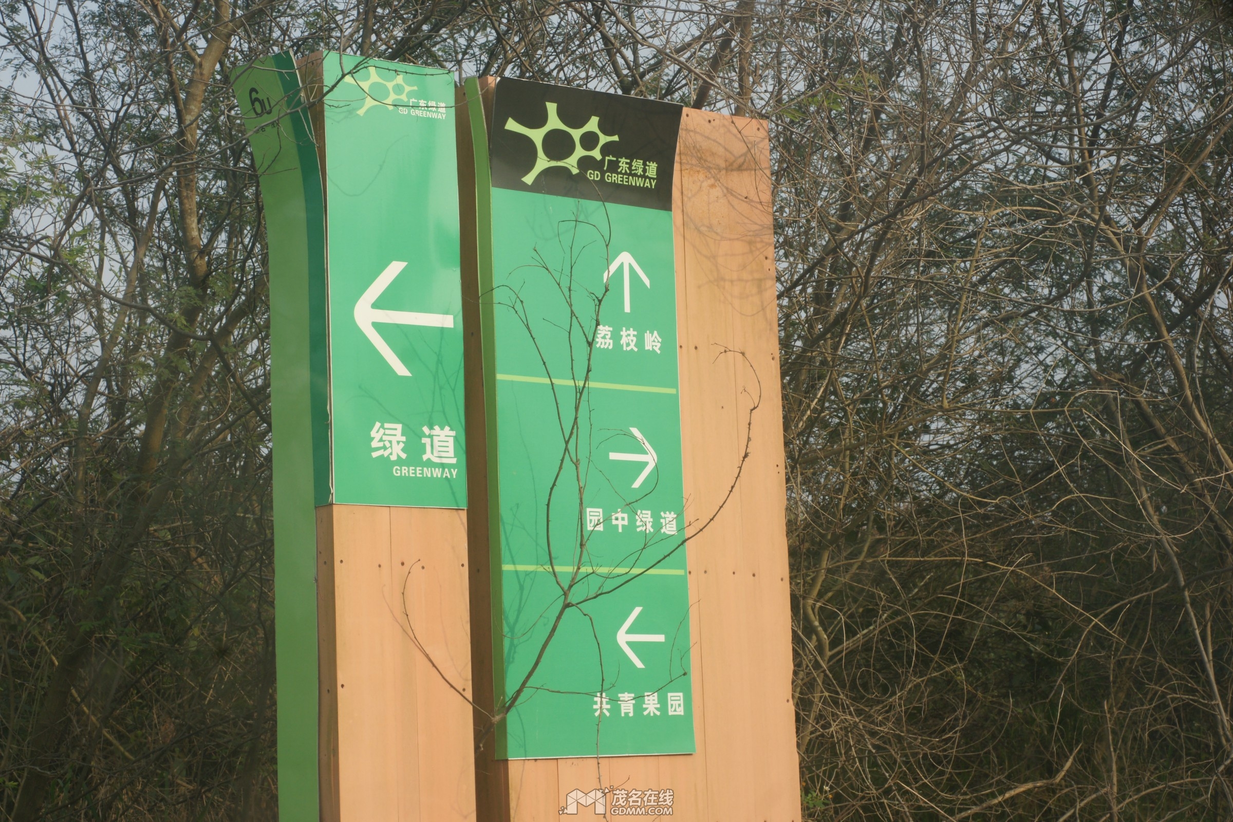 DSC02214.jpg