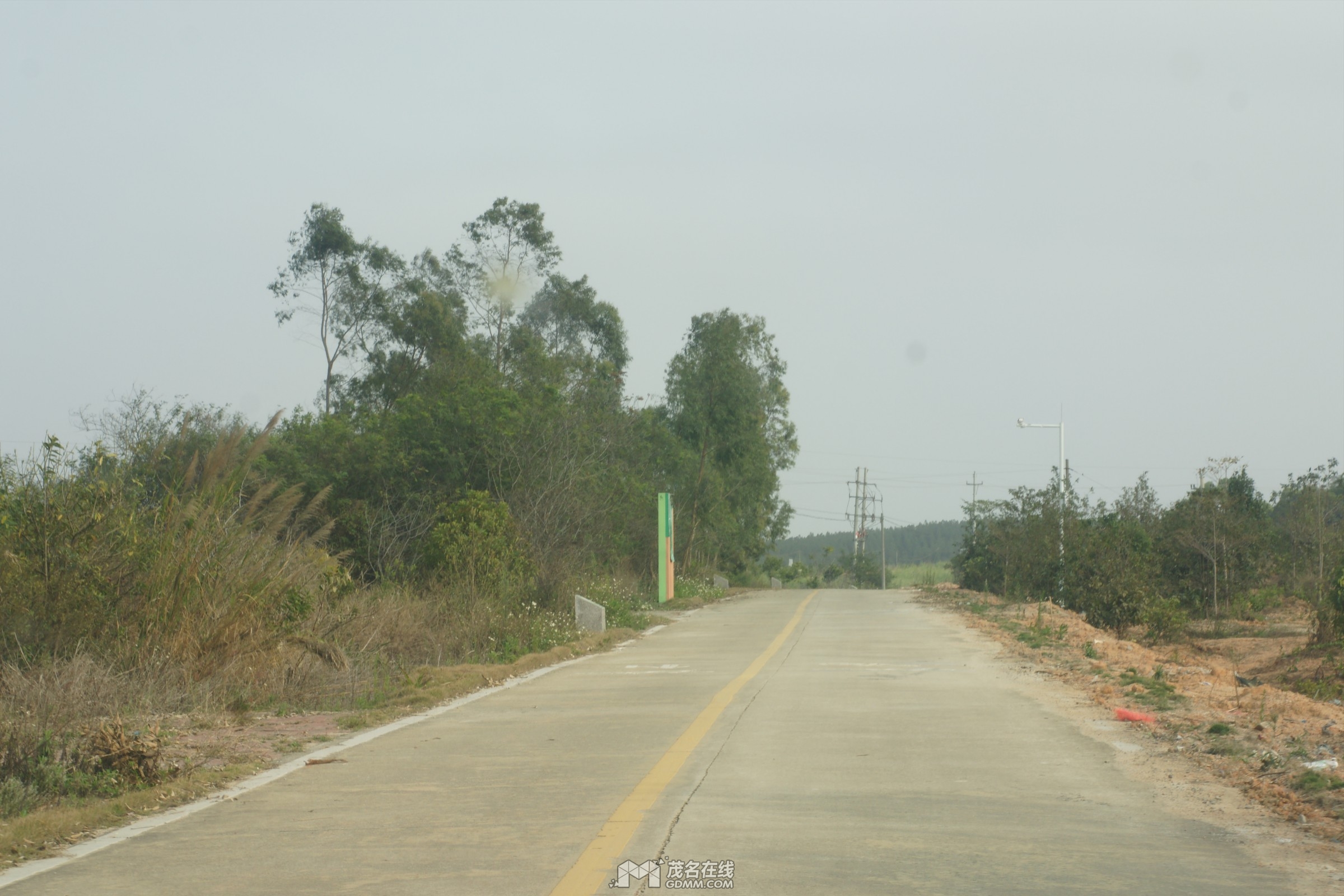 DSC02216.jpg