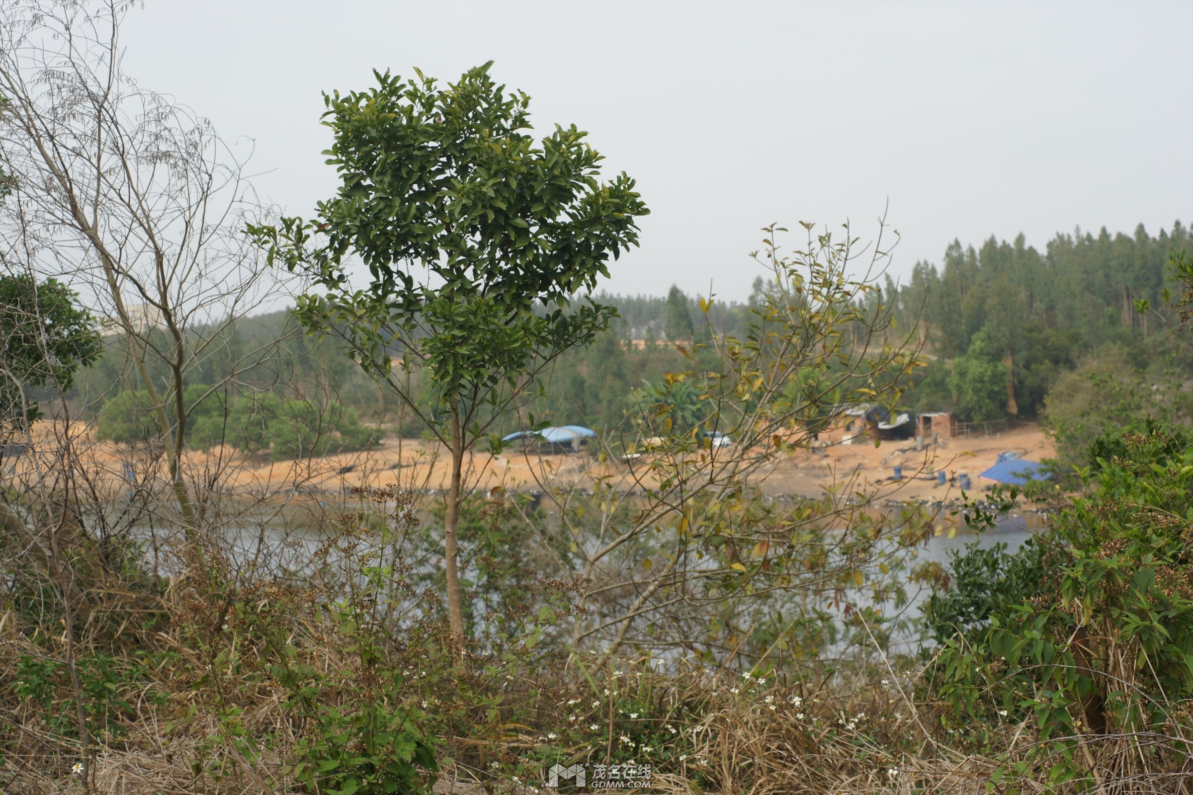 DSC02218.jpg