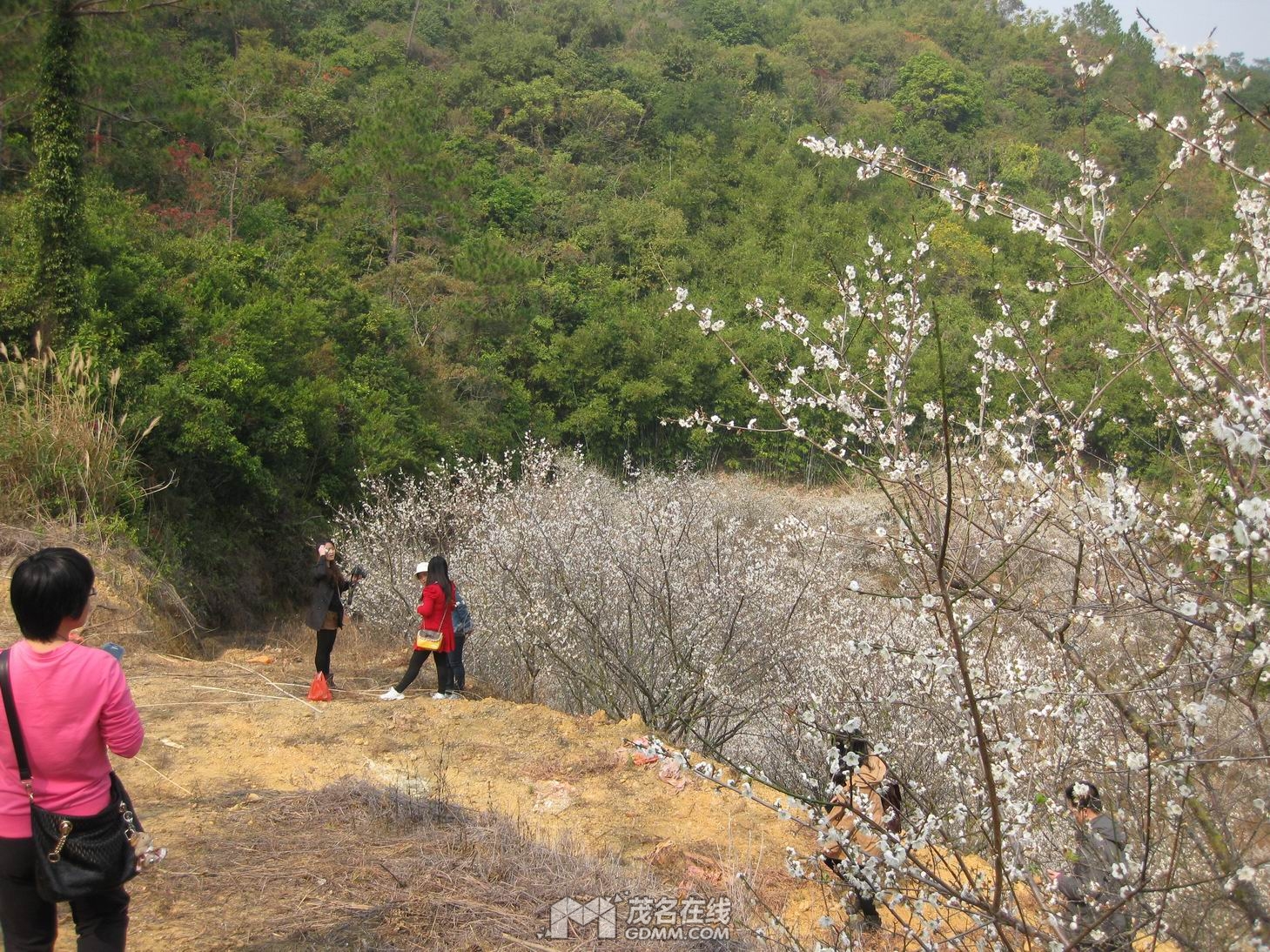Ƭ 069.jpg