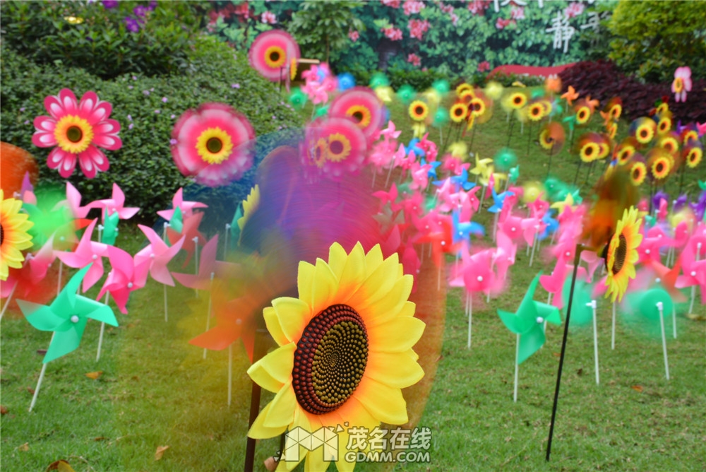 FOS_9354.jpg