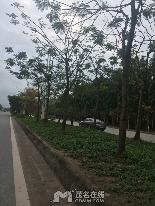170051j80118nn13onn6o0.jpeg