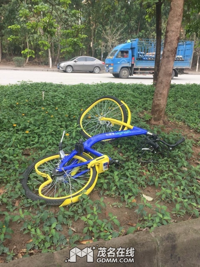 174817gzpciuc9eofgawoe.jpeg