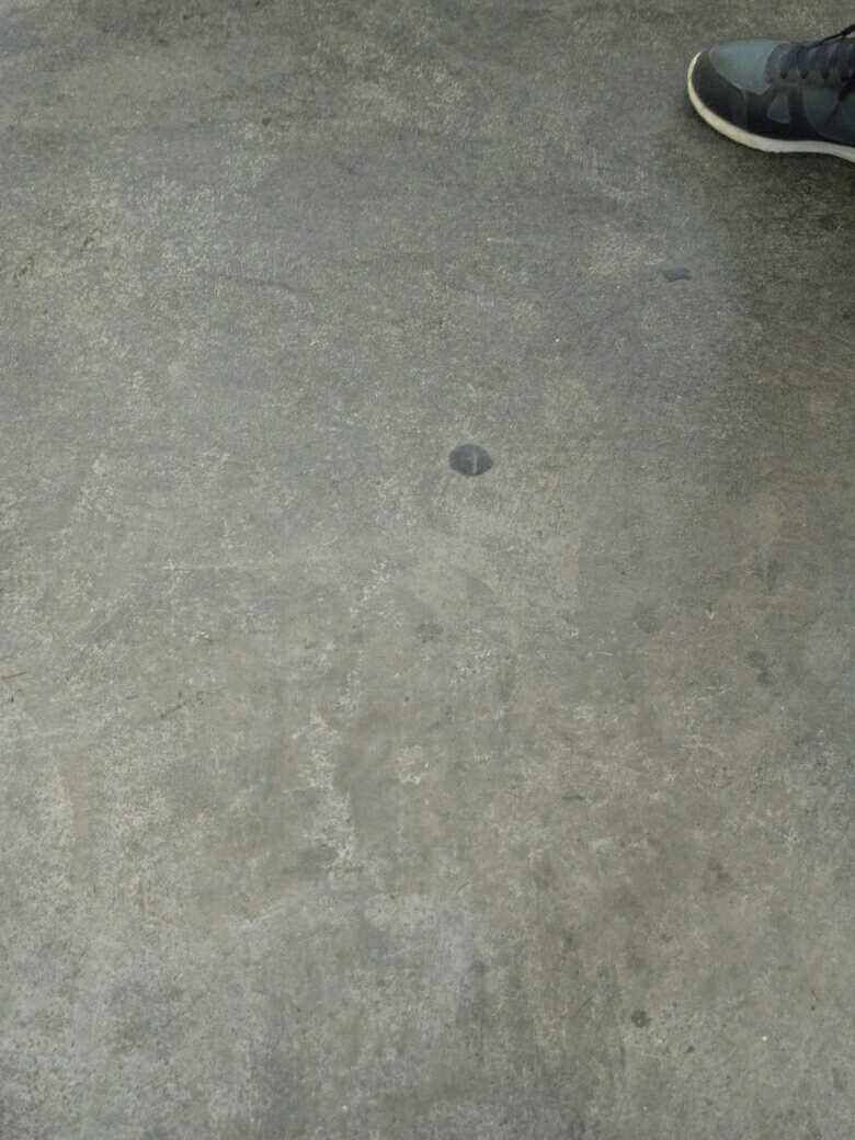 1490334233945_.jpg