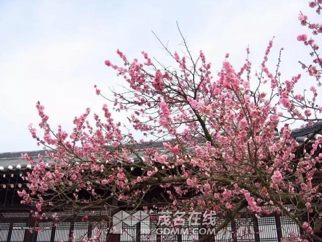 ΢ͼƬ_20170325170333.jpg