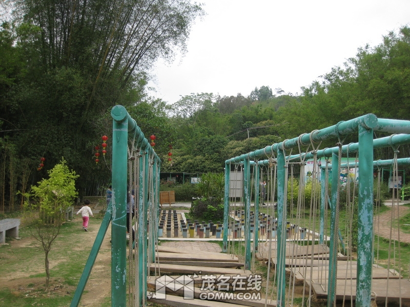 103.JPG