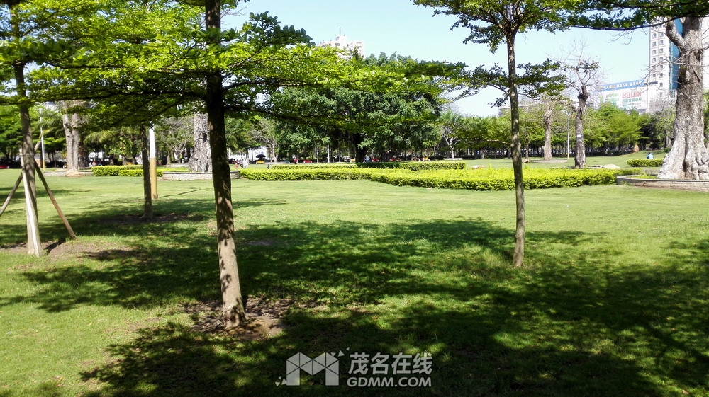 IMG_20170401_102156.jpg