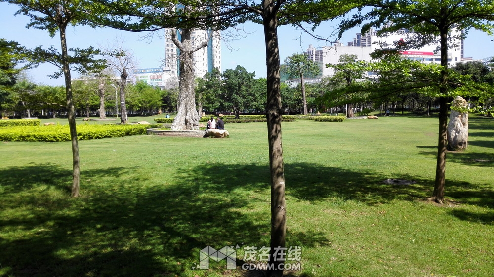 IMG_20170401_102204.jpg