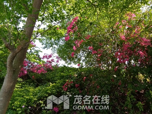 IMG_20170403_152634.jpg