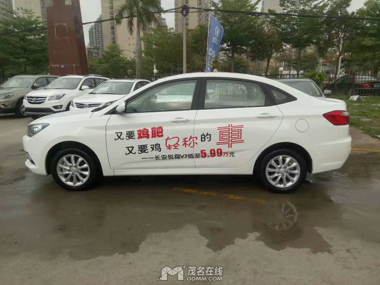 mmexport1491715422753.jpg