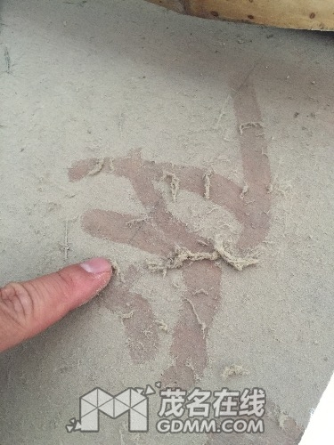image.jpeg