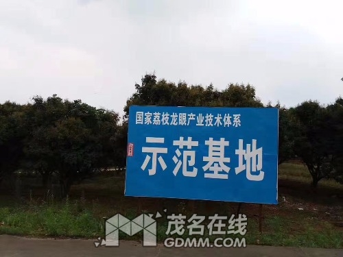mmexport1492347159406.jpg