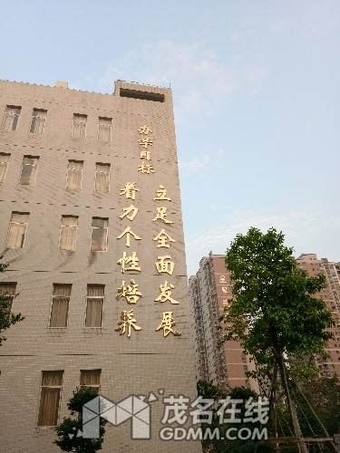 IMG_20170418_183347.jpg