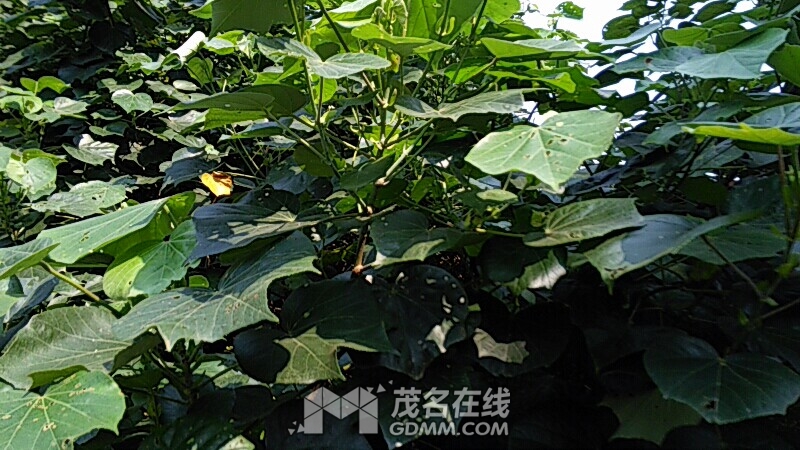 wx_camera_1492668923411.jpg