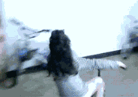 ΢ͼƬ_20170421154237.gif