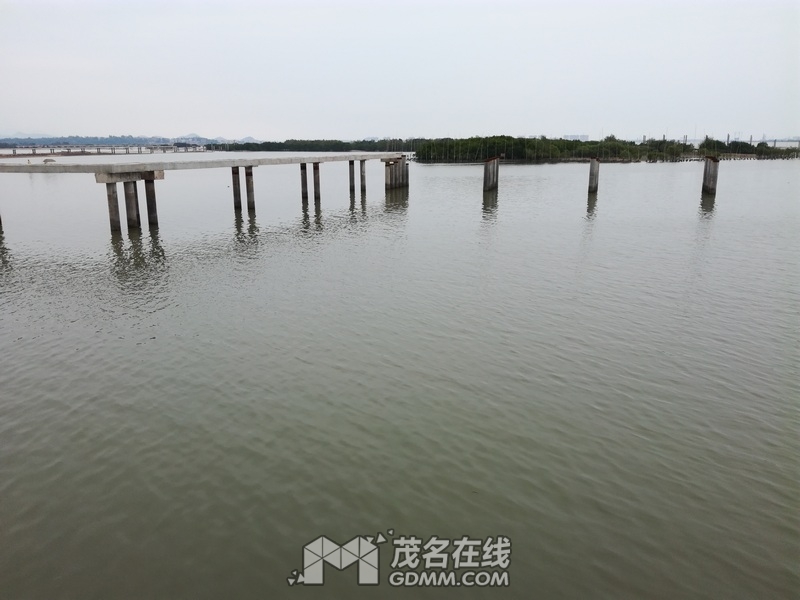IMG_20170422_162609.jpg