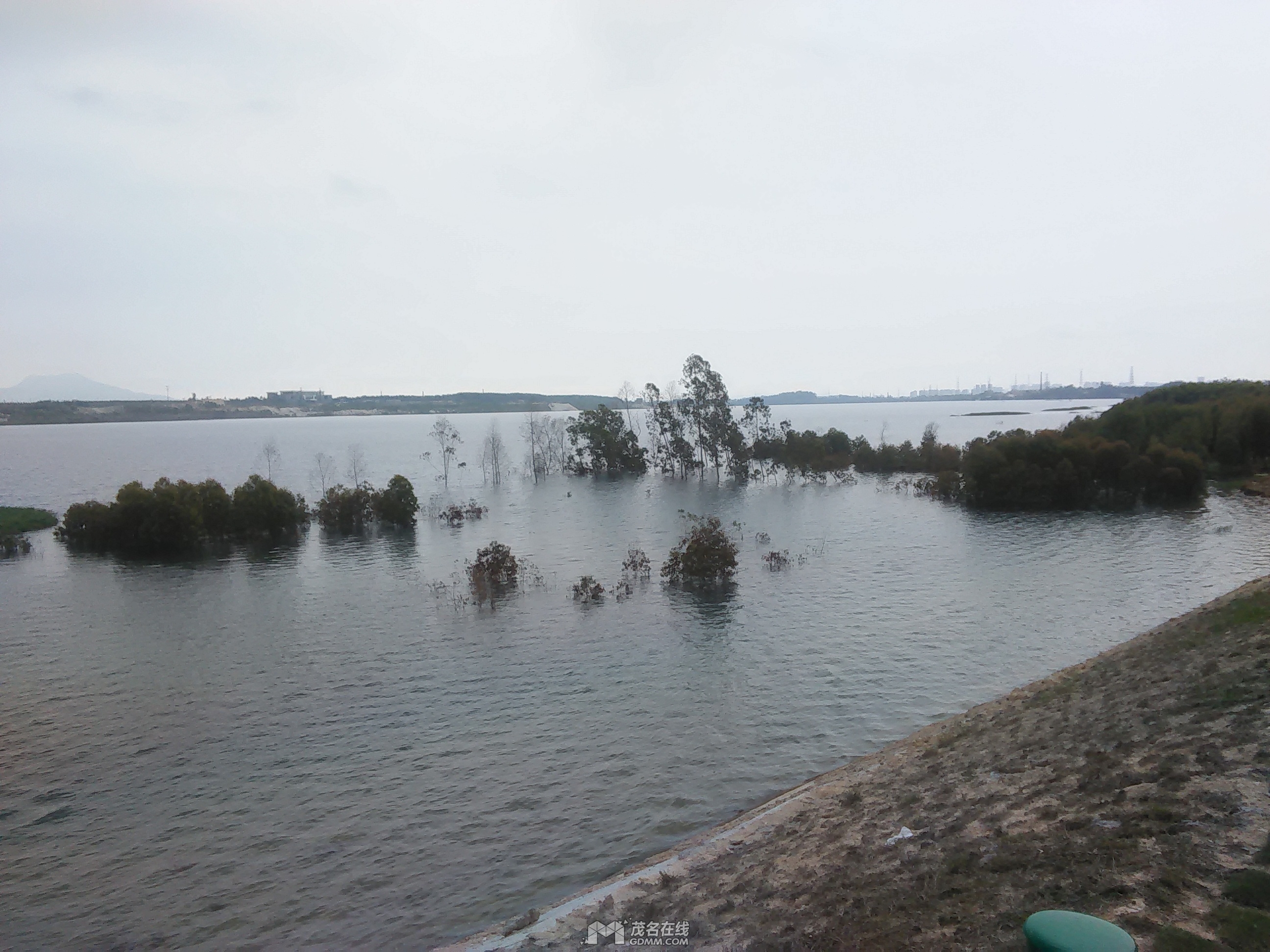 IMG20170419165349.jpg