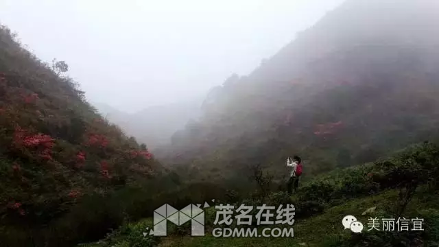 QQͼƬ20170425210349.png