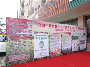 DSC07616.jpg