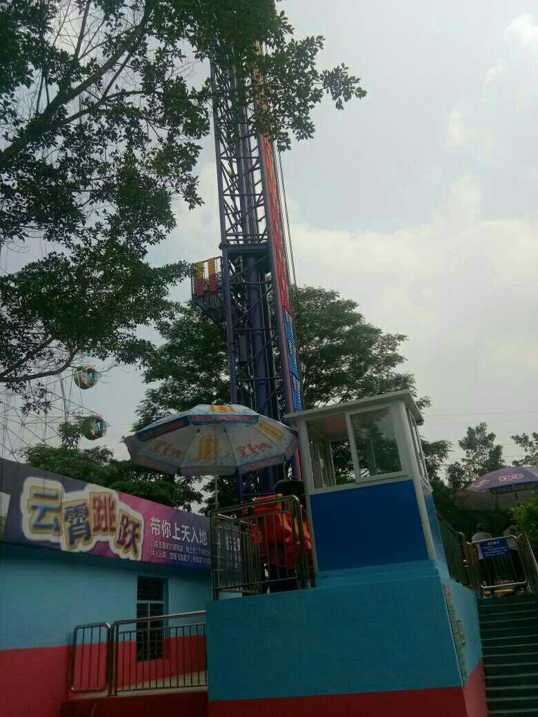 1493448199719_.jpg