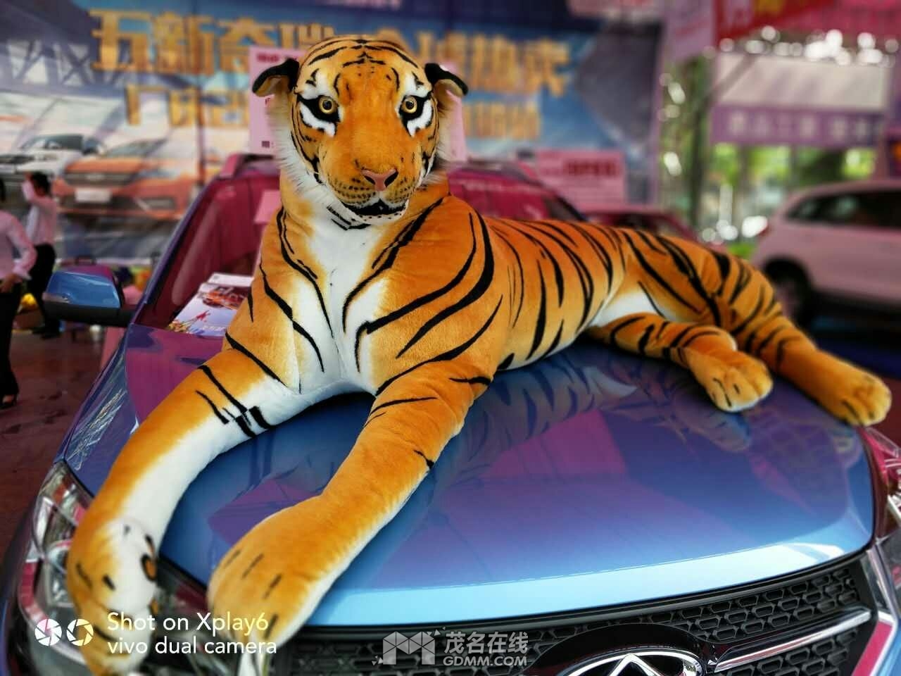 mmexport1493542071220.jpg