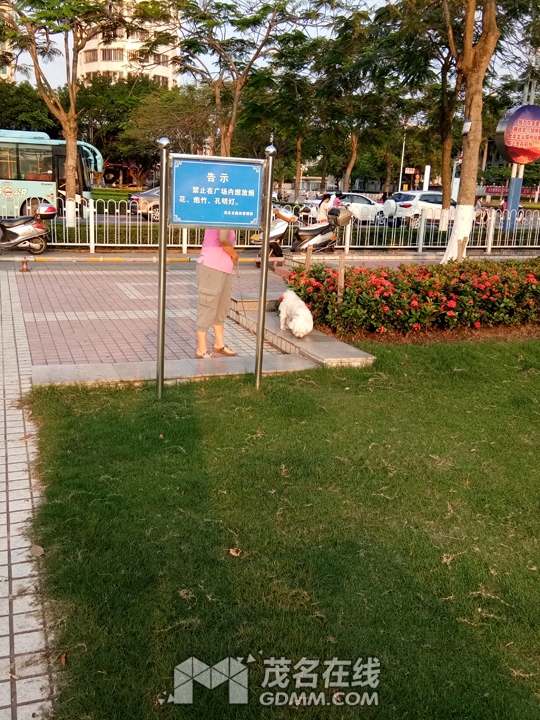 IMG_20170506_181322.jpg
