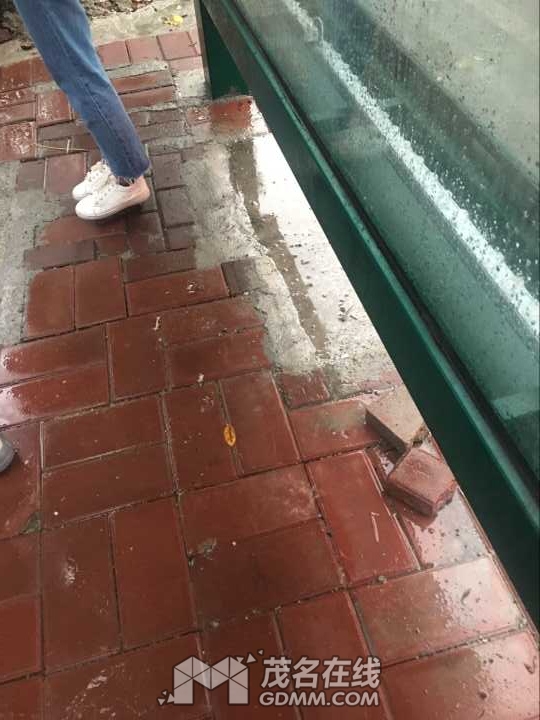 QQͼƬ20170509203121.jpg
