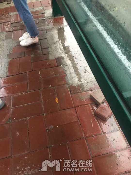QQͼƬ20170509203125.jpg