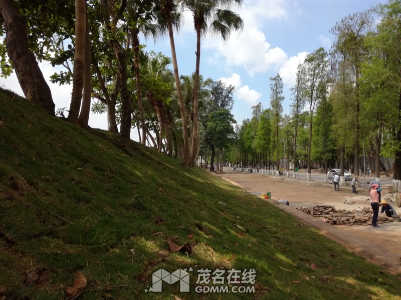 IMG_20170514_105357.jpg