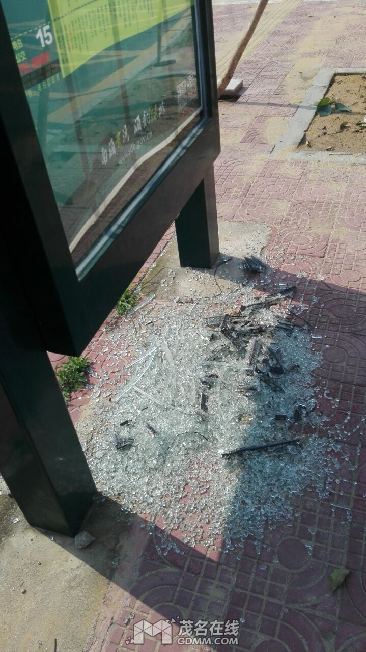 QQͼƬ20170517090654.jpg