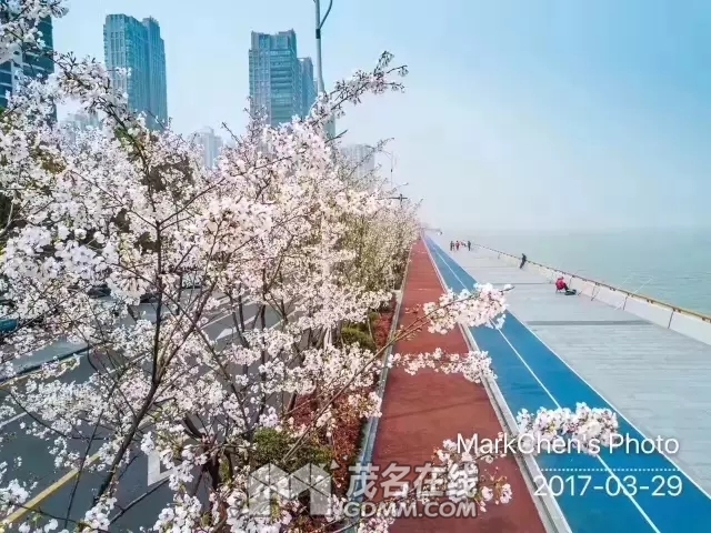 11028a5494eef01f6154aa18e9fe9925bd317d3c.jpg