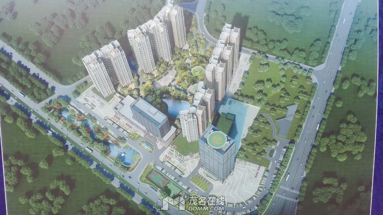 984095449.jpg