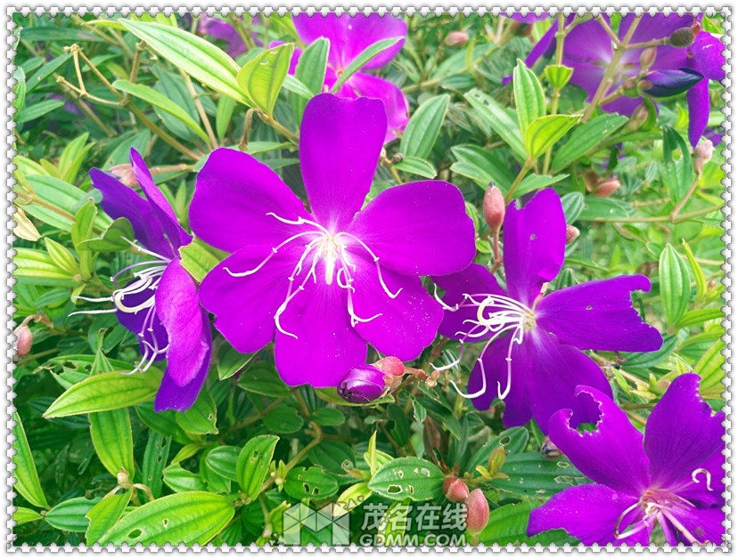 IMG_20170519_154856.jpg